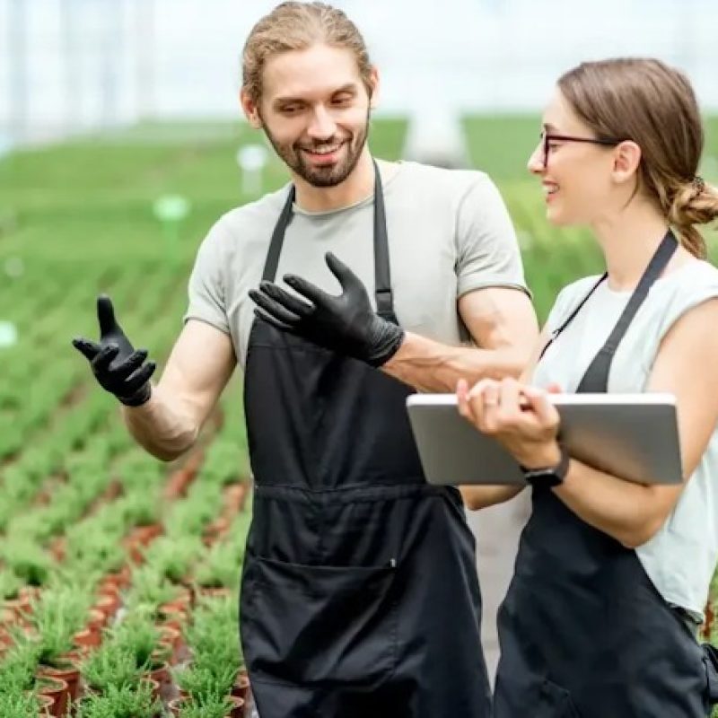 Imprese agricole e forestali abruzzesi: bando da 2,2 milioni di euro per formazione e innovazione