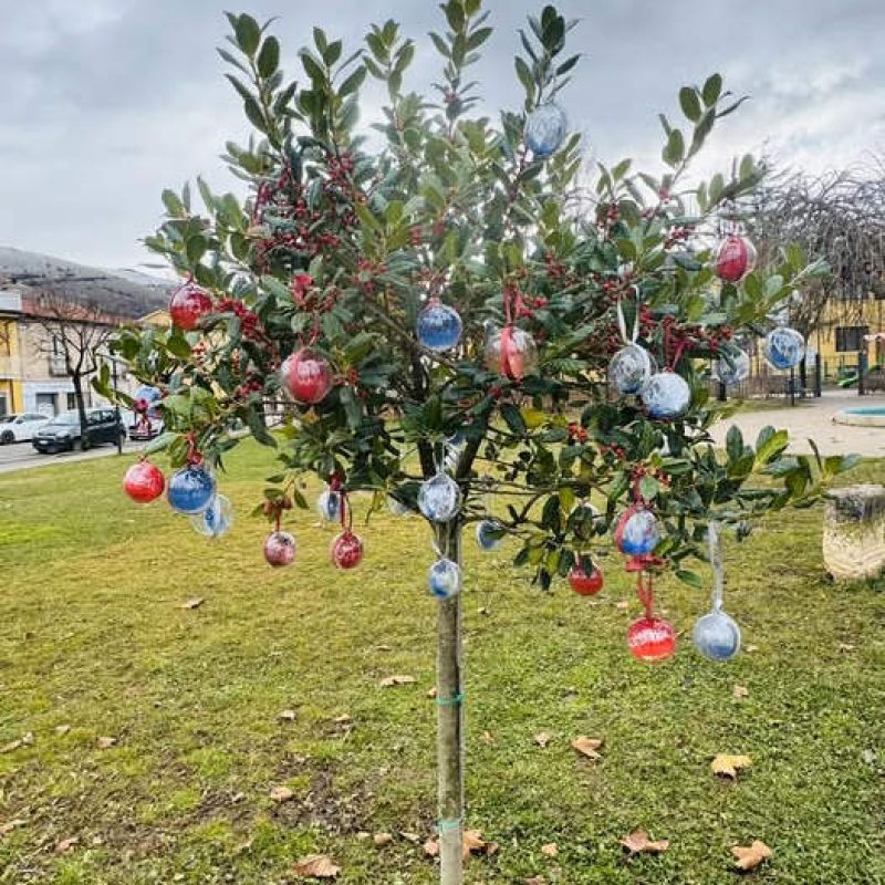 Palline con i nomi dei nati del 2024 su un albero nel parco giochi di Trasacco, l'iniziativa della Consulta dei Giovani