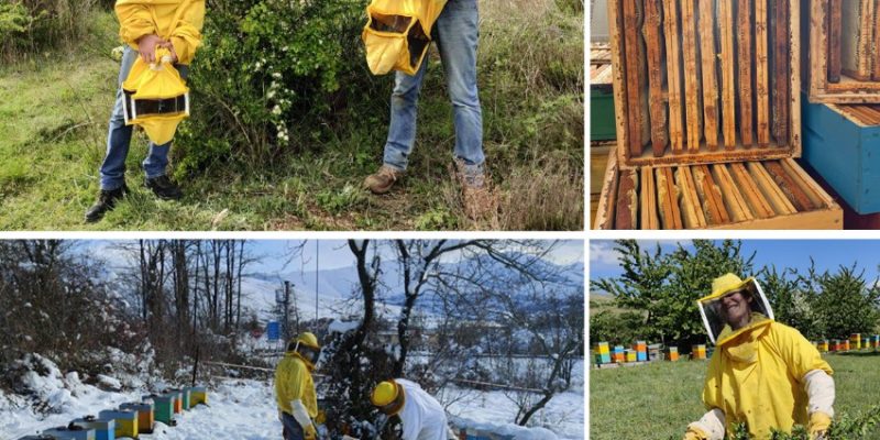 Il miele di Pescina premiato tra i migliori d'Italia, l'apicoltura Dolce Lavanda trionfa al Tre Gocce d'Oro