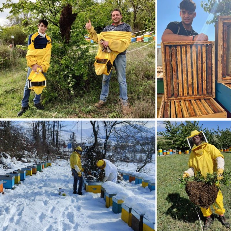 Il miele di Pescina premiato tra i migliori d'Italia, l'apicoltura Dolce Lavanda trionfa al Tre Gocce d'Oro