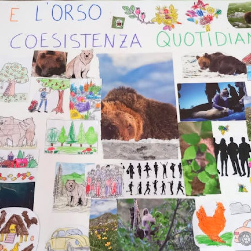 Al via il programma educativo LIFE Bear-Smart Corridors: bambini e ragazzi alla scoperta della coesistenza con l'orso marsicano