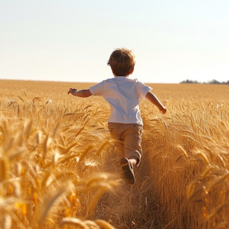 Domani ad Avezzano la presentazione della "Giornata dell'Agricoltura" e della "Festa del Solco" 