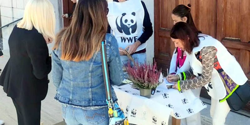 Festa della natura in città, successo per i banchetti delle parrocchie di San Rocco, Madonna del Passo e San Giovanni ad Avezzano