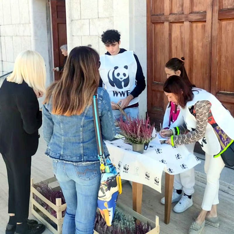 Festa della natura in città, successo per i banchetti delle parrocchie di San Rocco, Madonna del Passo e San Giovanni ad Avezzano