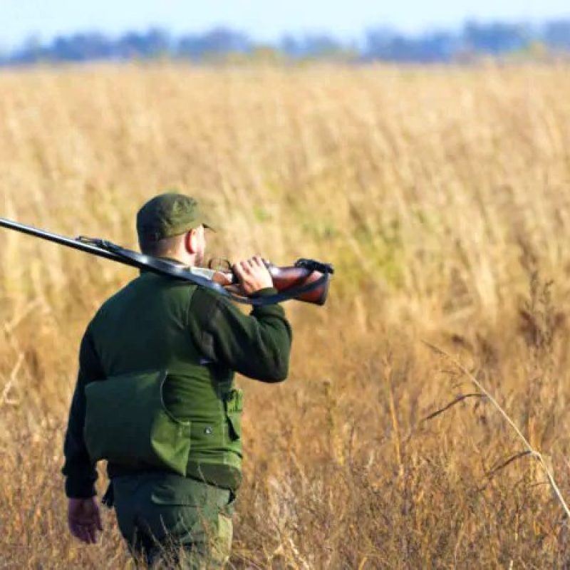 Bozza del Calendario venatorio 2025/26, WWF Abruzzo: "Criticità su pre-aperture, periodi di caccia, prelievo di specie e impatto sulle terre dell'orso"