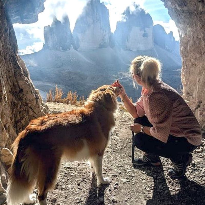 Il cane Bud, dalla Marsica al cuore del Trentino: una storia di amore a quattro zampe