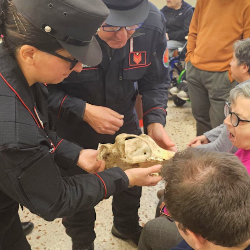 I Carabinieri della Biodiversità protagonisti di una Befana "green" alla Fondazione Anffas di Avezzano