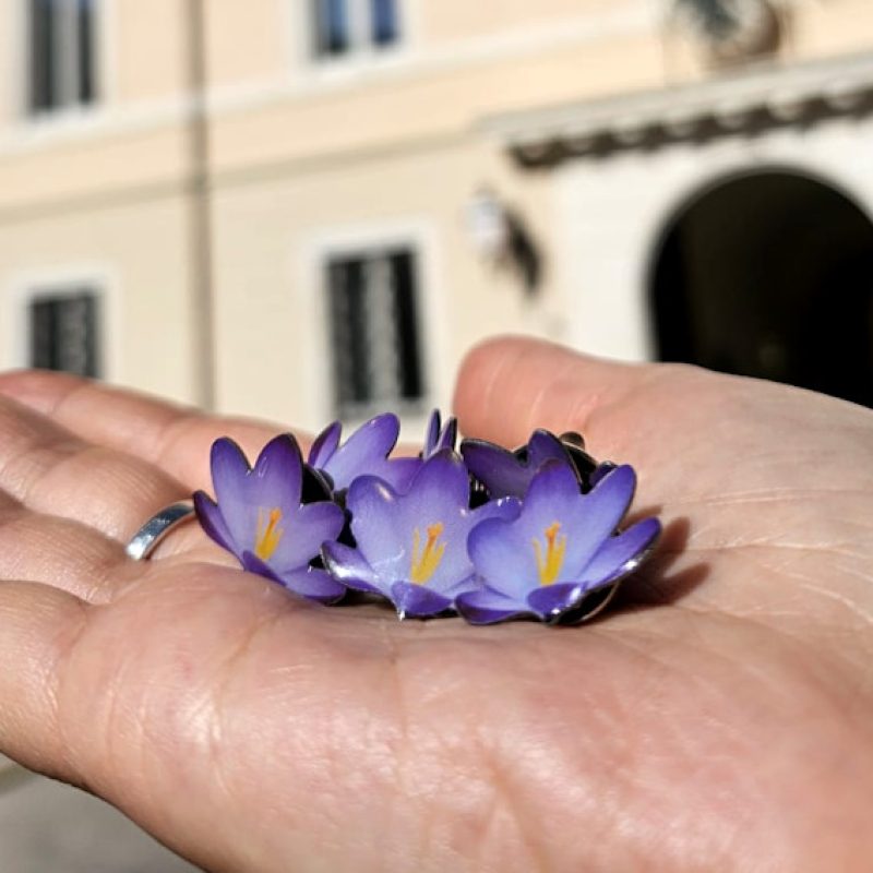 L'Aquila si prepara a commemorare i 16 anni dal terremoto: il "Fiore della memoria" per non dimenticare