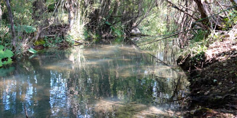 Open Rivers Programme finanzia Rewilding Apennines per ripristinare il corso naturale del fiume Giovenco