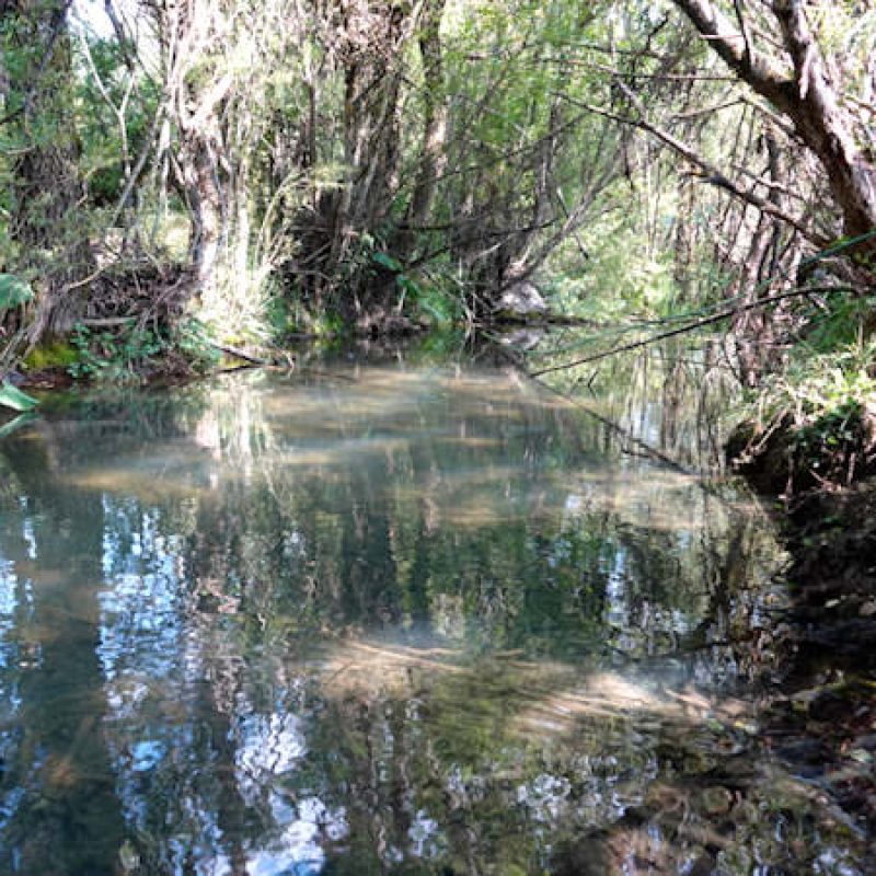 Open Rivers Programme finanzia Rewilding Apennines per ripristinare il corso naturale del fiume Giovenco