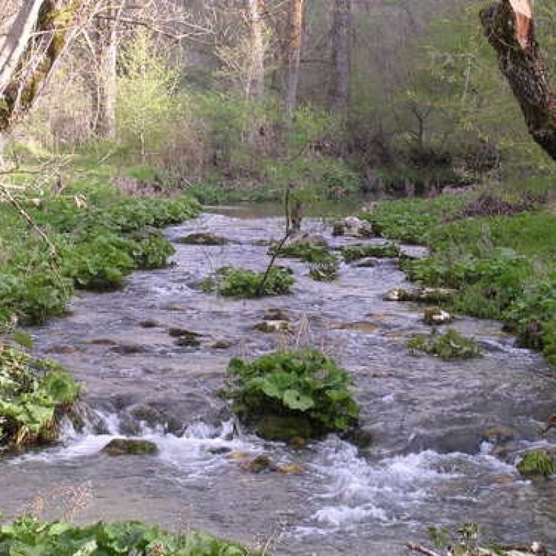 Fiume Giovenco