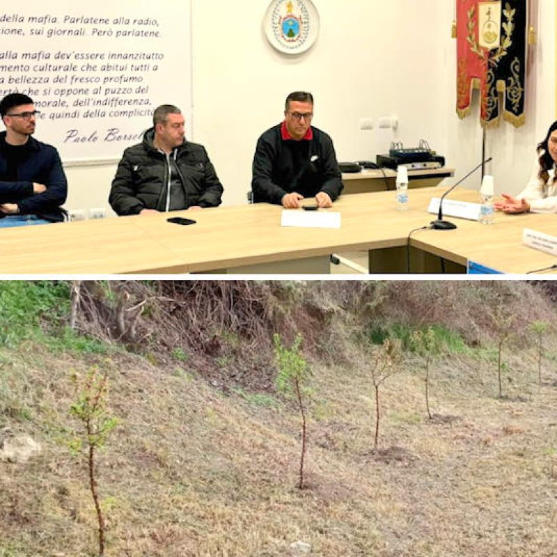 Cerchio celebra la Giornata della Gentilezza e accoglie i nuovi nati con la piantumazione di 10 alberi