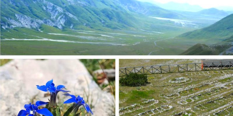 Riapre il giardino alpino "Vincenzo Rivera" sul Gran Sasso