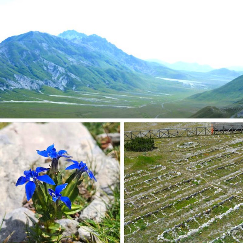 Riapre il giardino alpino "Vincenzo Rivera" sul Gran Sasso