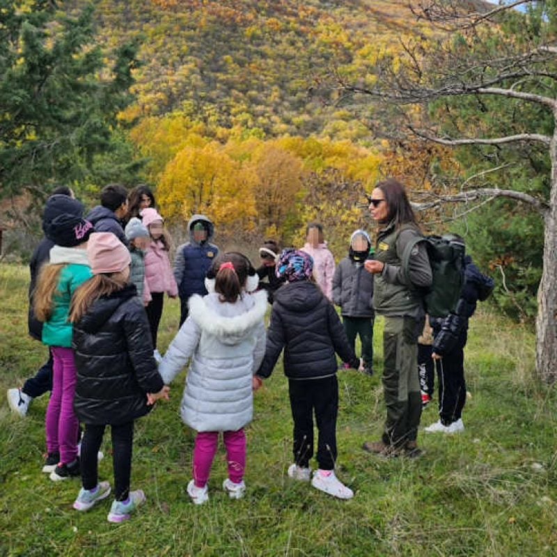 Giornata nazionale dell'Albero: i bambini della scuola primaria di Villavallelonga hanno piantato due nuovi alberi