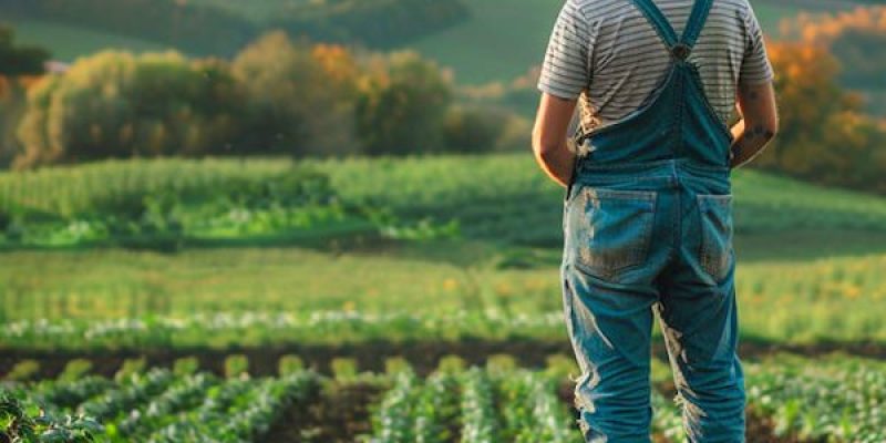 Opportunità per il giovani: arriva il Servizio Civile Agricolo