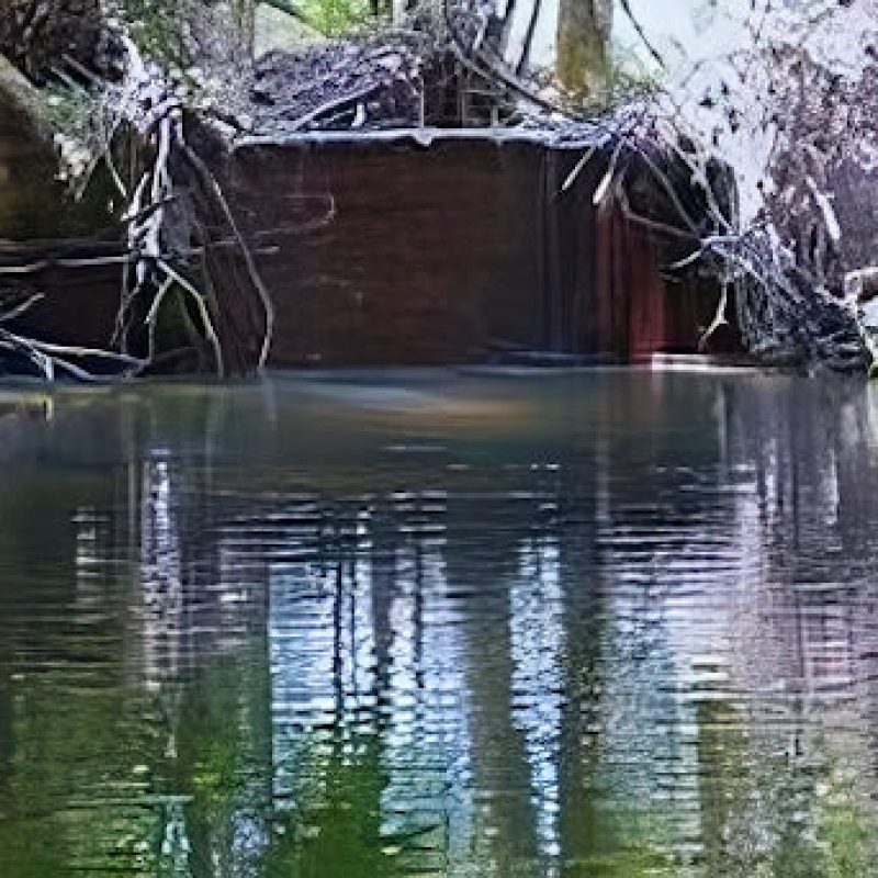 Rimozione di cinque barriere sul fiume Giovenco: domenica 6 Ottobre a Bisegna si parla del progetto "Giov&Go - Giovenco libero di scorrere"