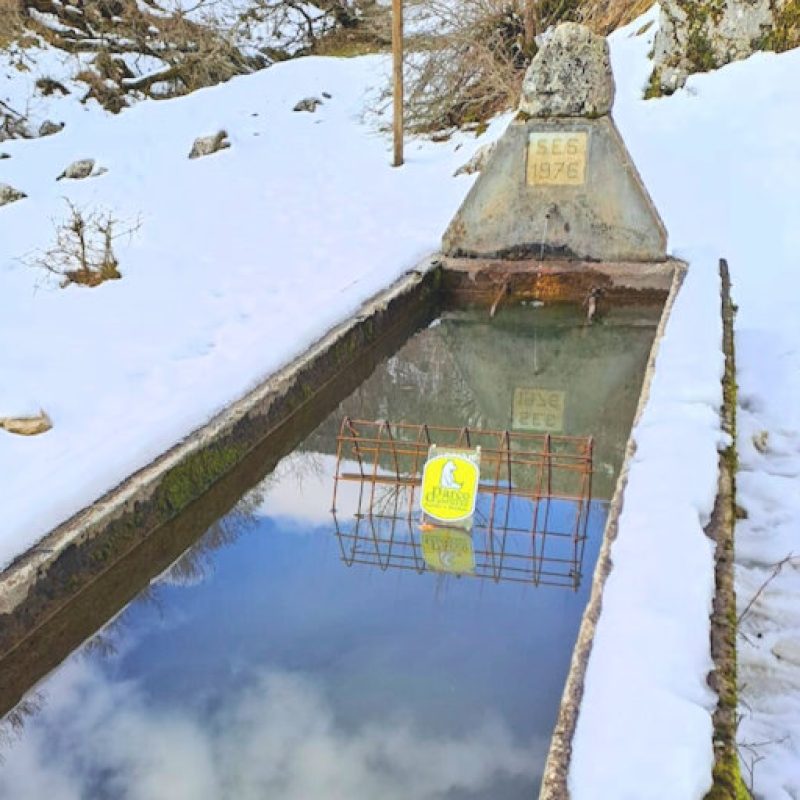 Sistemate delle grate in un abbeveratoio per prevenire l'annegamento degli uccelli, PNALM: "Piccoli interventi per conservare la Natura"