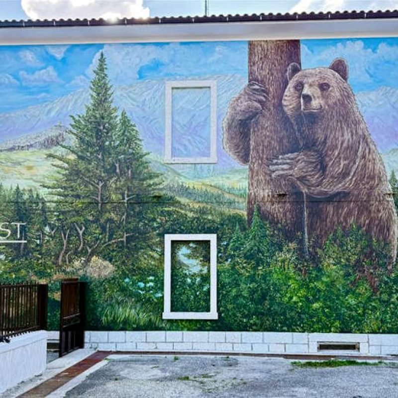 "Juan Carrito sempre con noi", il borgo di Carrito omaggia l'amato orso bruno marsicano con un murale