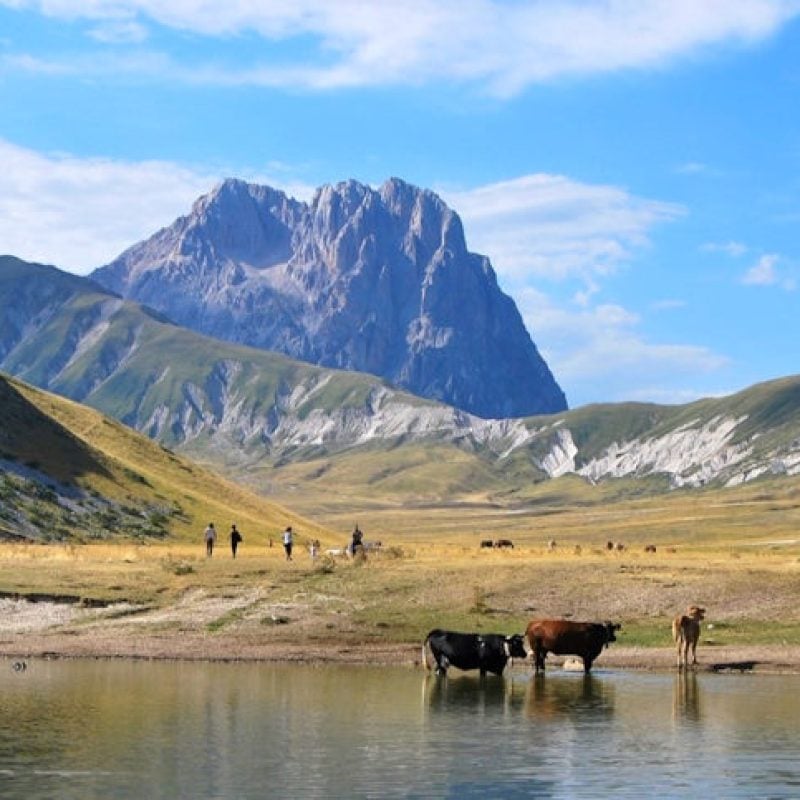 Sostegno alle zone con svantaggi naturali montagna di Regione Abruzzo: domande dal 1° Gennaio