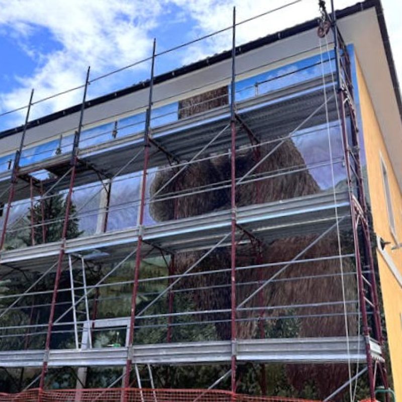 Potrebbe essere l'orso bruno marsicano il protagonista del murale che si sta realizzando a Carrito Stazione