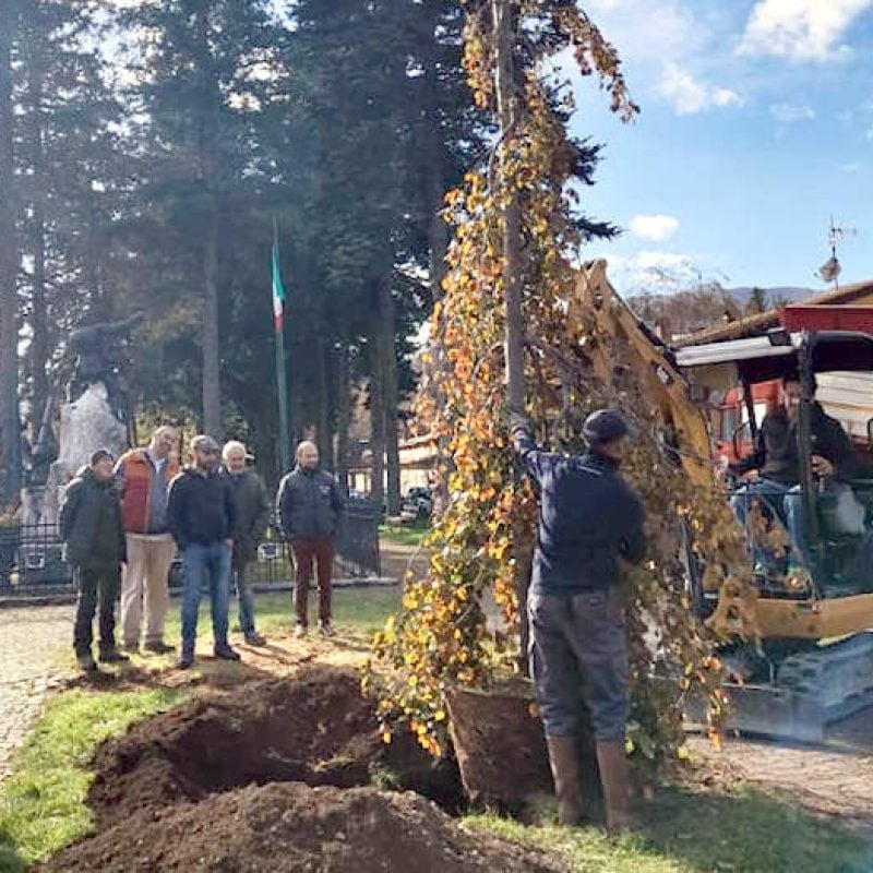 Futuro più verde per Pescasseroli: la comunità si unisce per creare un nuovo "giardino botanico"