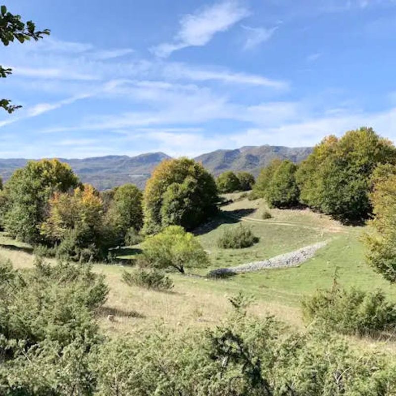 Pescasseroli aderisce alla "Settimana del Cervello": seminario e trekking gratuito il 22 Marzo