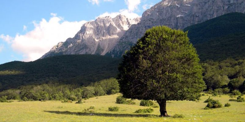 Il Parco Sirente Velino si fa in immagine: un concorso fotografico per il calendario 2025