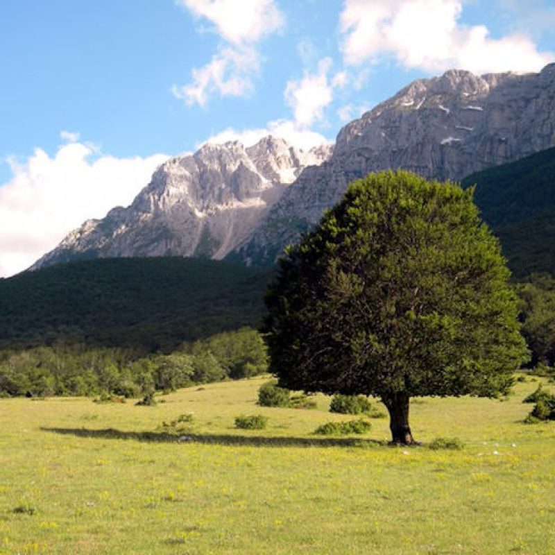 Il Parco Sirente Velino si fa in immagine: un concorso fotografico per il calendario 2025