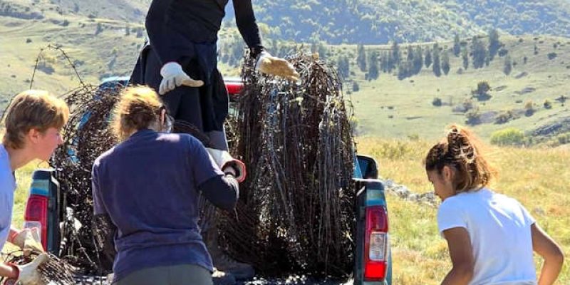 Rimossi 1600 metri di filo spinato abbandonato: "Iniziativa volta a migliorare l'habitat dell'orso marsicano"