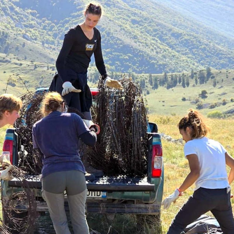 Rimossi 1600 metri di filo spinato abbandonato: "Iniziativa volta a migliorare l'habitat dell'orso marsicano"