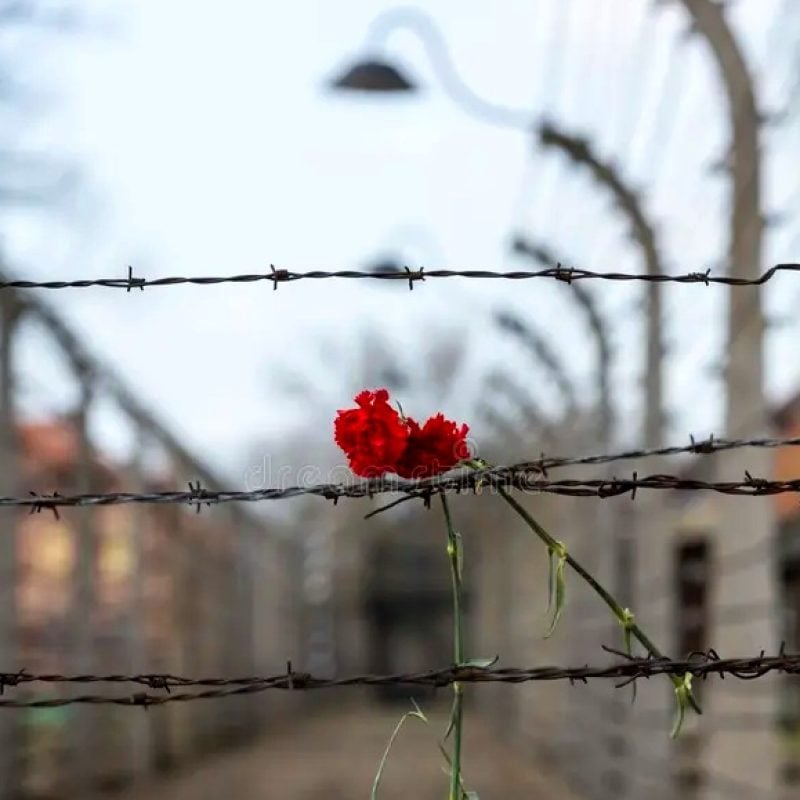 Luco dei Marsi commemora la Shoah con Giuseppe Grossi e Maria Assunta Oddi: un evento per richiamare la memoria e la pace