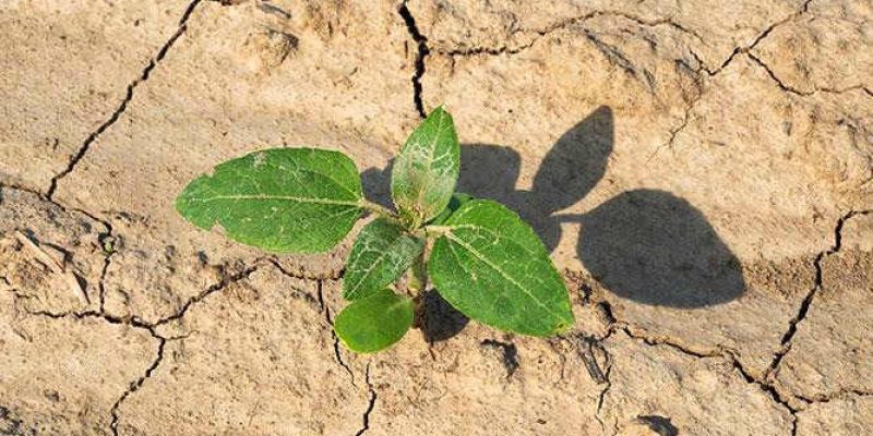 Siccità in Abruzzo, la Confederazione Italiana Agricoltori chiede lo stato di calamità