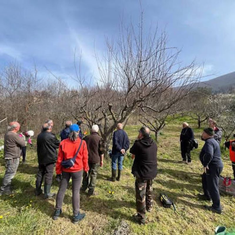 Salvaguardia delle specie autoctone, successo per il mese di incontri e lezioni tra Civitella Roveto e Scanno