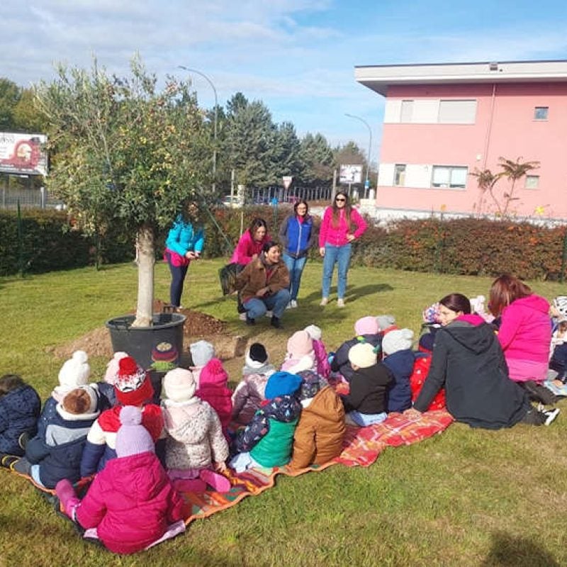 L'ulivo della prevenzione e della pace: "I Girasoli" APS dà vita a un progetto speciale presso la Scuola Madonna del Passo di Avezzano